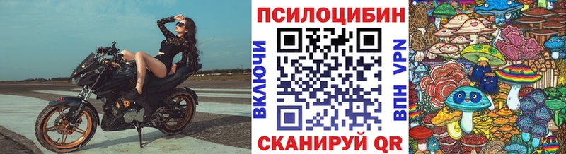 Псилоцибиновые грибы GOLDEN TEACHER  Купить  Выборг 