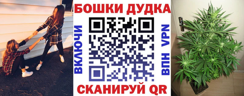 Купить где  Выборг  Каннабис конопля 
